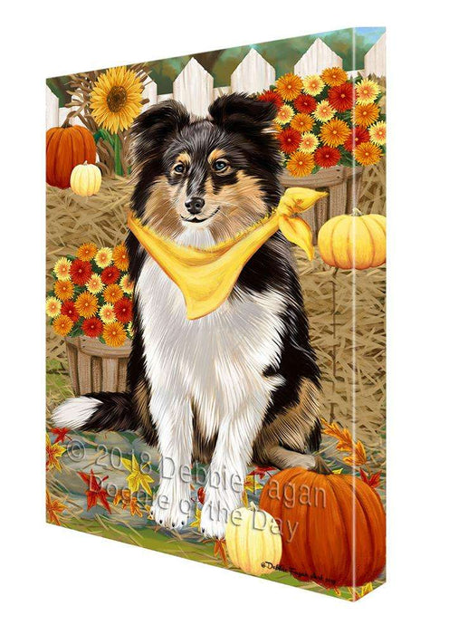 Fall Autumn Greeting Shetland Sheepdog with Pumpkins Canvas Print Wall Art Décor CVS73979