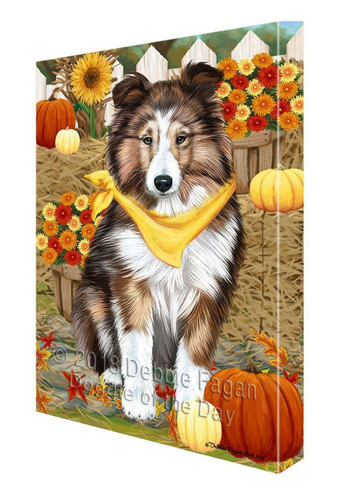 Fall Autumn Greeting Shetland Sheepdog with Pumpkins Canvas Print Wall Art Décor CVS73997