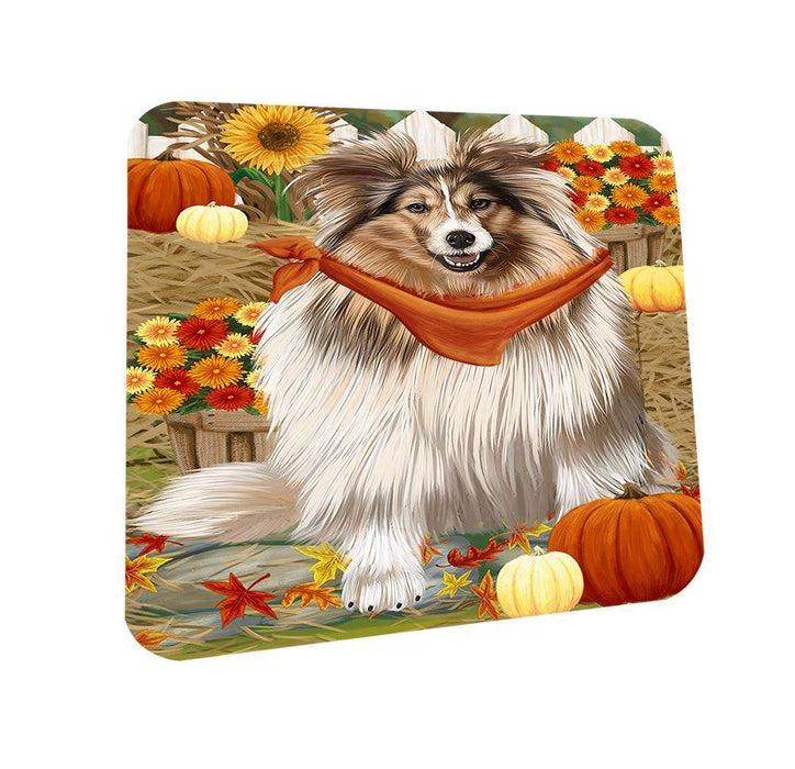 Fall Autumn Greeting Shetland Sheepdog with Pumpkins Coasters Set of 4 CST50808