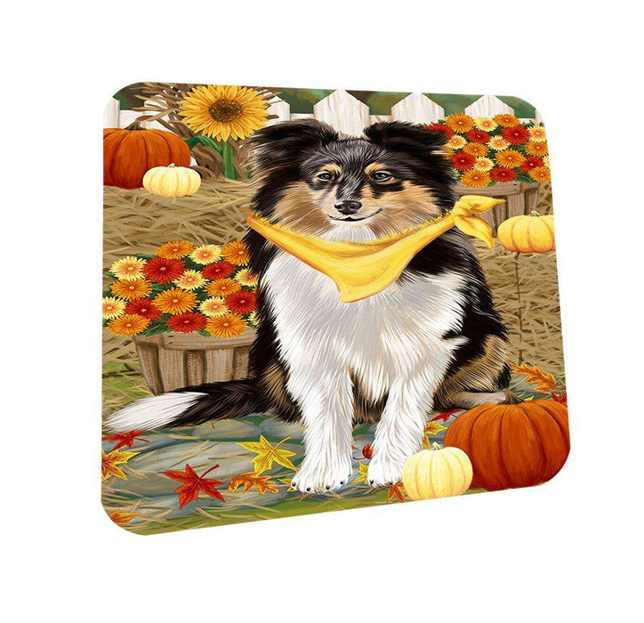 Fall Autumn Greeting Shetland Sheepdog with Pumpkins Coasters Set of 4 CST50809