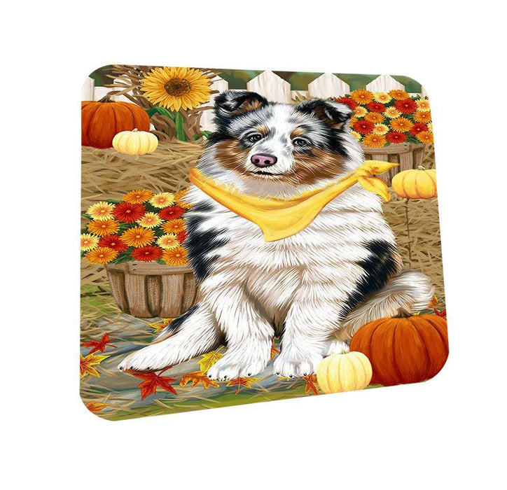 Fall Autumn Greeting Shetland Sheepdog with Pumpkins Coasters Set of 4 CST50810