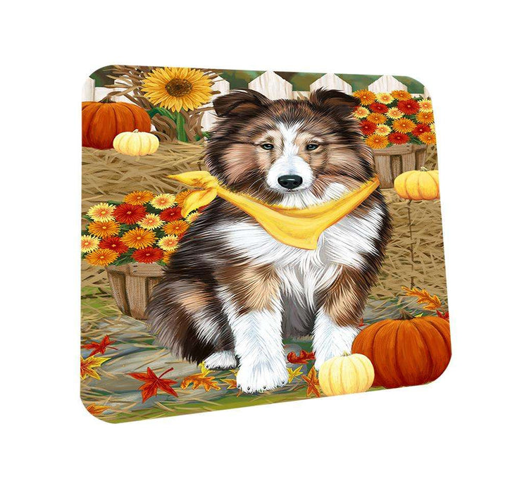 Fall Autumn Greeting Shetland Sheepdog with Pumpkins Coasters Set of 4 CST50811