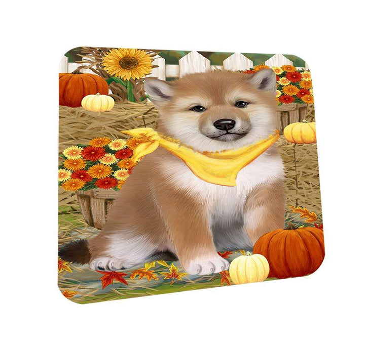 Fall Autumn Greeting Shiba Inu Dog with Pumpkins Coasters Set of 4 CST50813