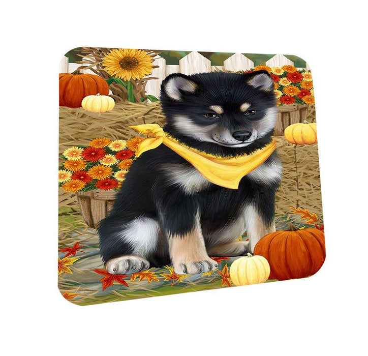 Fall Autumn Greeting Shiba Inu Dog with Pumpkins Coasters Set of 4 CST50814
