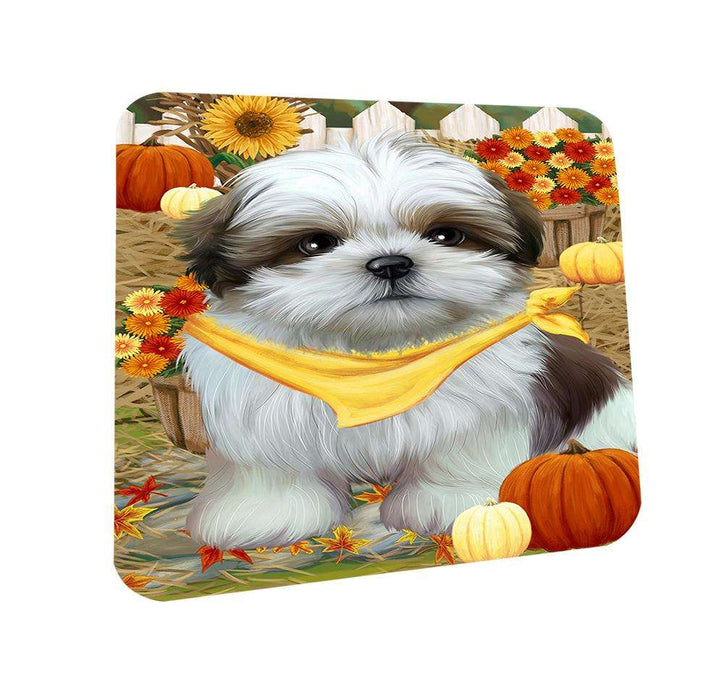Fall Autumn Greeting Shih Tzu Dog with Pumpkins Coasters Set of 4 CST50816