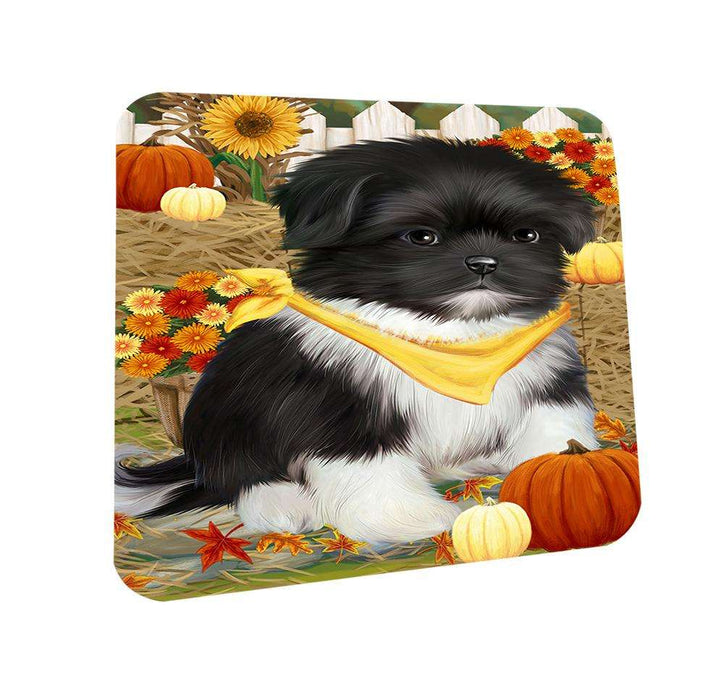 Fall Autumn Greeting Shih Tzu Dog with Pumpkins Coasters Set of 4 CST50818