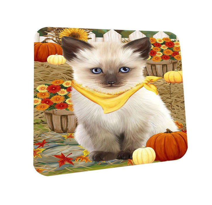 Fall Autumn Greeting Siamese Cat with Pumpkins Coasters Set of 4 CST52304