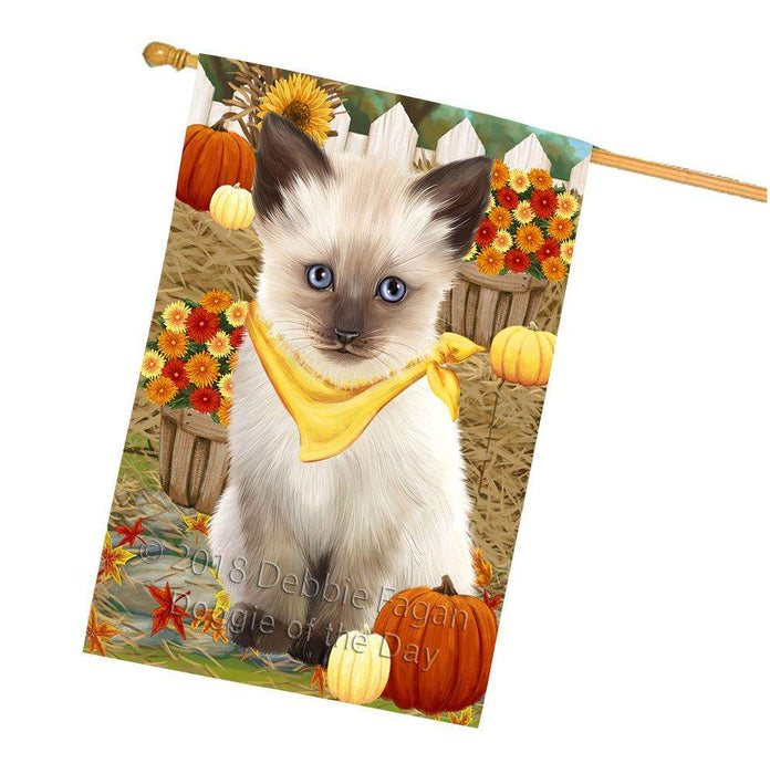 Fall Autumn Greeting Siamese Cat with Pumpkins House Flag FLG52426