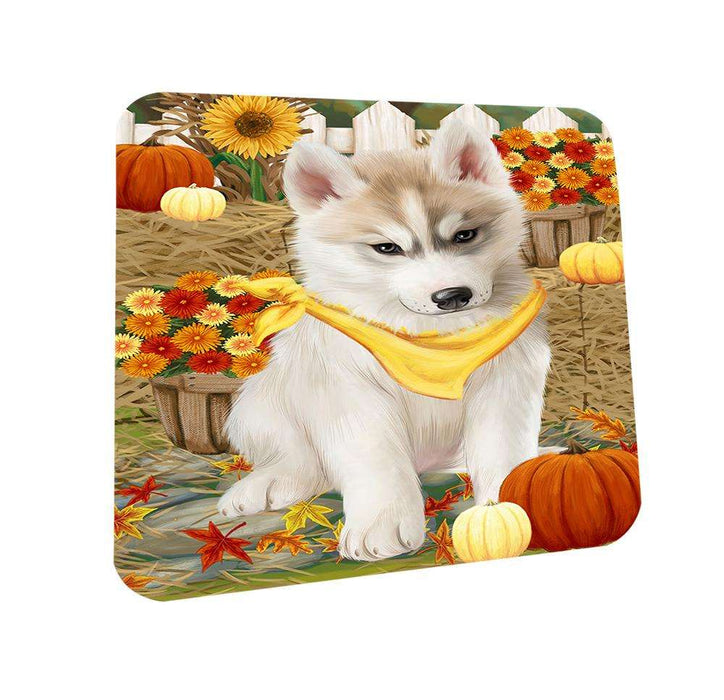 Fall Autumn Greeting Siberian Huskie Dog with Pumpkins Coasters Set of 4 CST50821