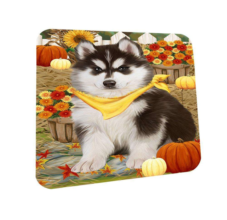 Fall Autumn Greeting Siberian Huskie Dog with Pumpkins Coasters Set of 4 CST50822