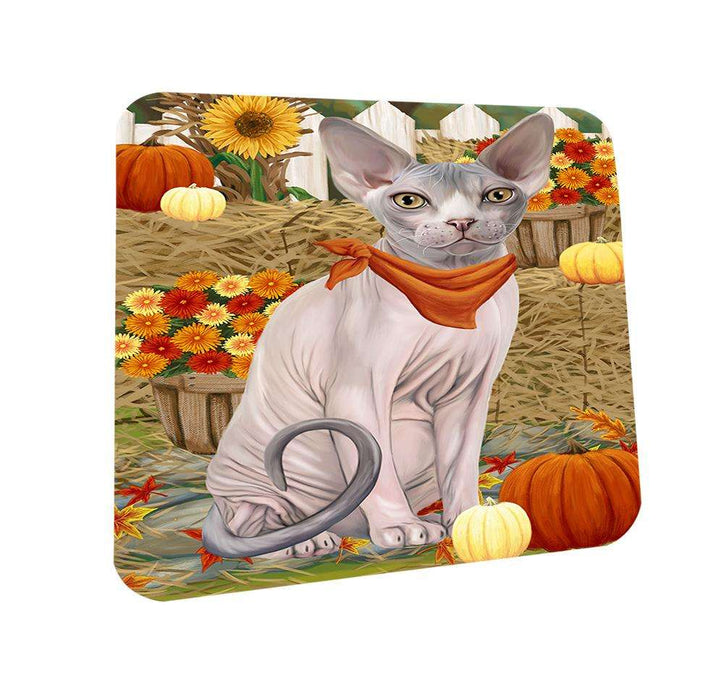 Fall Autumn Greeting Sphynx Cat with Pumpkins Coasters Set of 4 CST52305