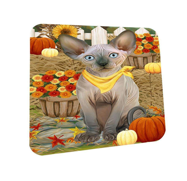 Fall Autumn Greeting Sphynx Cat with Pumpkins Coasters Set of 4 CST52306
