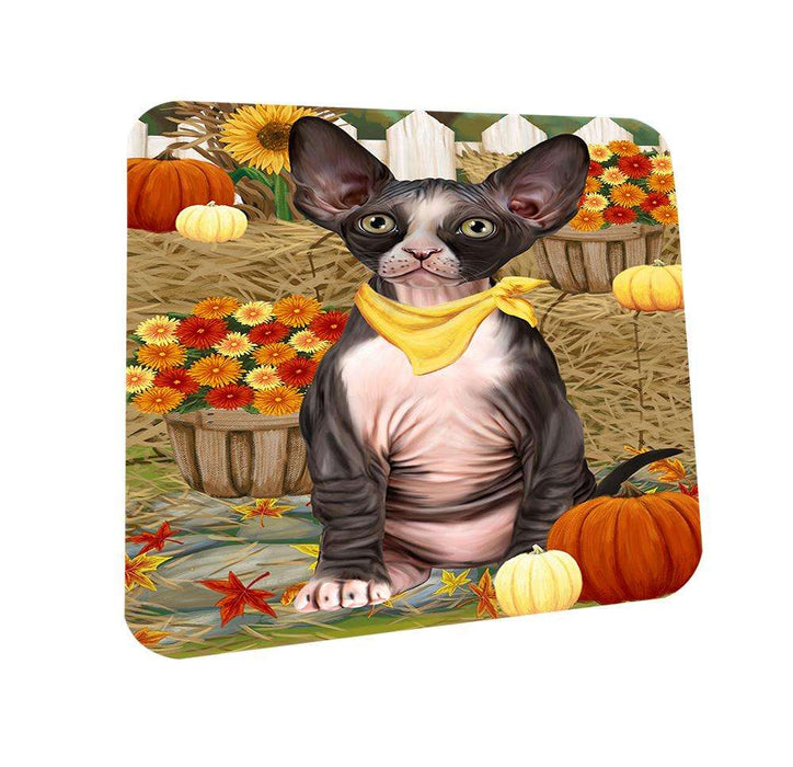 Fall Autumn Greeting Sphynx Cat with Pumpkins Coasters Set of 4 CST52307