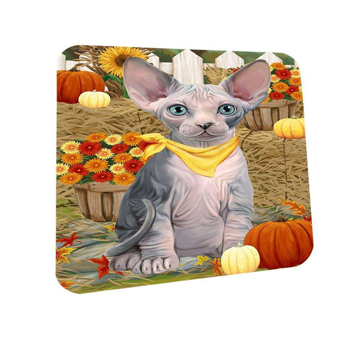Fall Autumn Greeting Sphynx Cat with Pumpkins Coasters Set of 4 CST52308