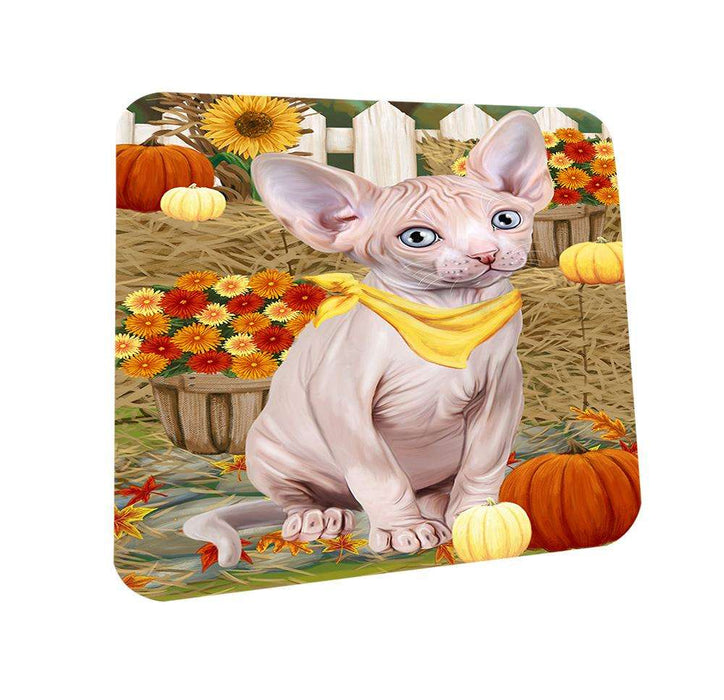 Fall Autumn Greeting Sphynx Cat with Pumpkins Coasters Set of 4 CST52309