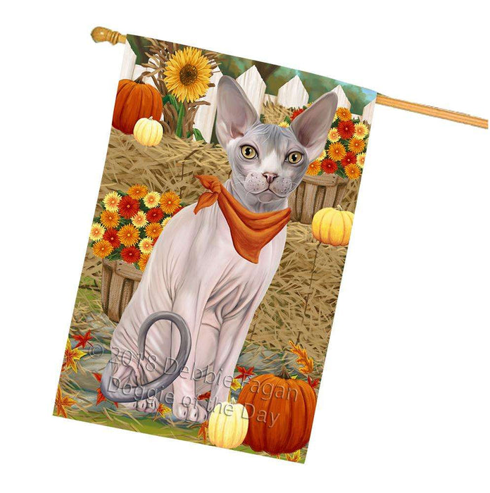 Fall Autumn Greeting Sphynx Cat with Pumpkins House Flag FLG52427