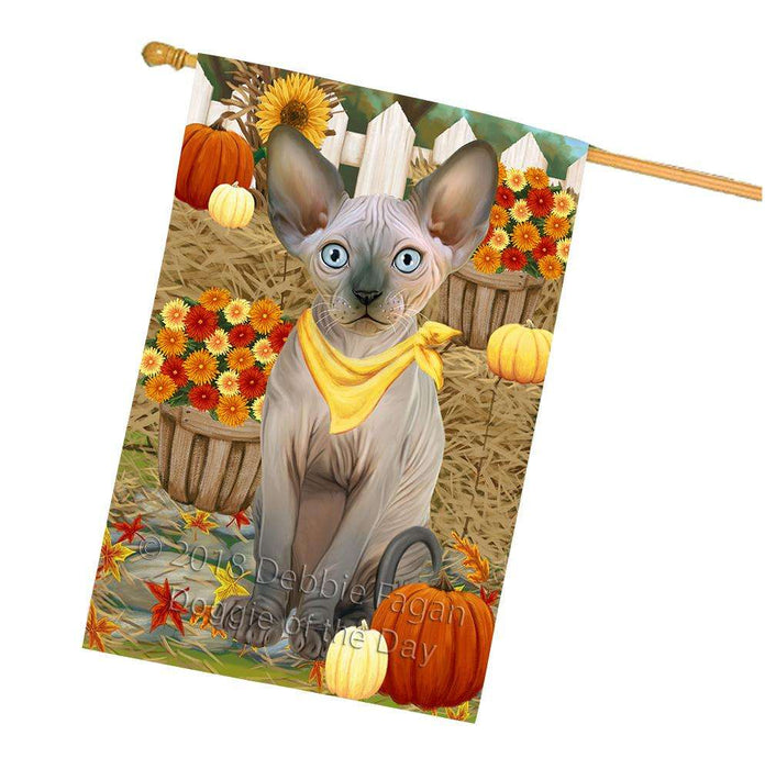 Fall Autumn Greeting Sphynx Cat with Pumpkins House Flag FLG52428