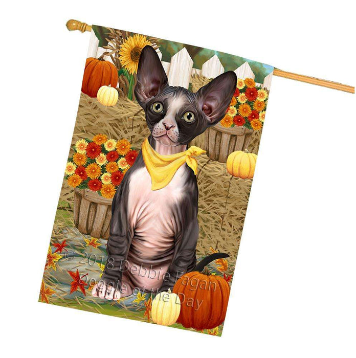 Fall Autumn Greeting Sphynx Cat with Pumpkins House Flag FLG52429