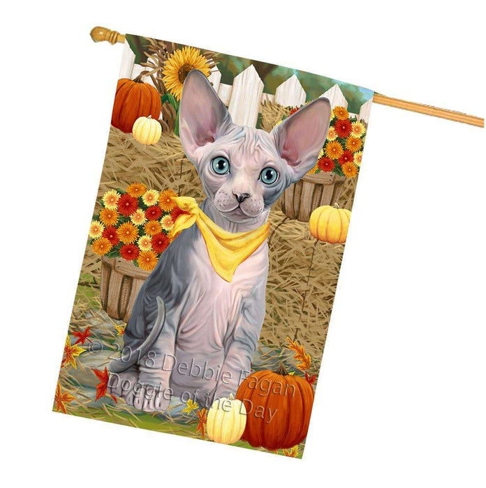 Fall Autumn Greeting Sphynx Cat with Pumpkins House Flag FLG52430