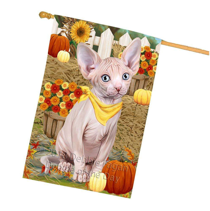 Fall Autumn Greeting Sphynx Cat with Pumpkins House Flag FLG52431