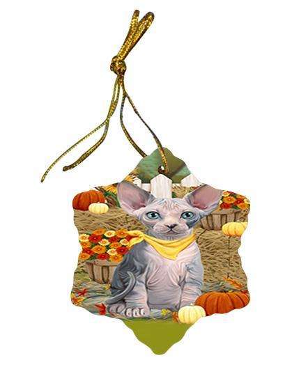 Fall Autumn Greeting Sphynx Cat with Pumpkins Star Porcelain Ornament SPOR52340