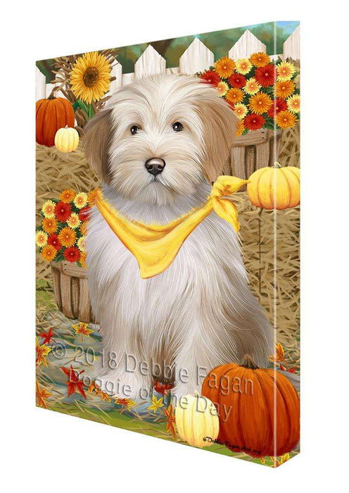 Fall Autumn Greeting Tibetan Terrier Dog with Pumpkins Canvas Print Wall Art Décor CVS74123