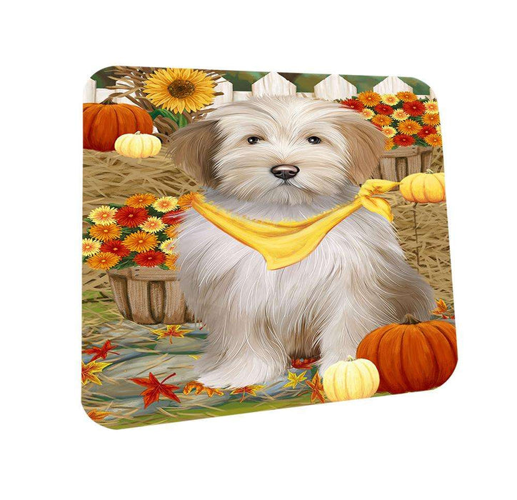 Fall Autumn Greeting Tibetan Terrier Dog with Pumpkins Coasters Set of 4 CST50825