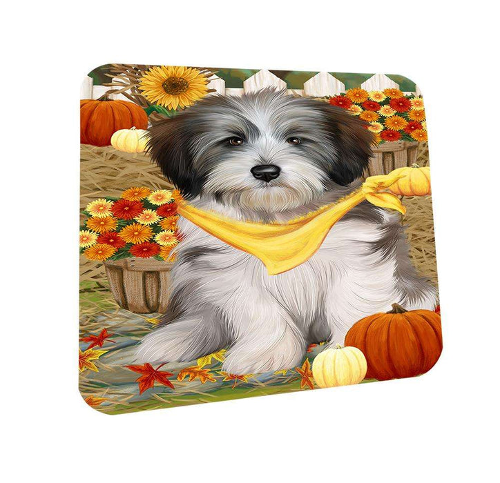 Fall Autumn Greeting Tibetan Terrier Dog with Pumpkins Coasters Set of 4 CST50827
