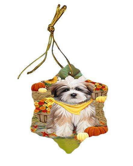 Fall Autumn Greeting Tibetan Terrier Dog with Pumpkins Star Porcelain Ornament SPOR50859