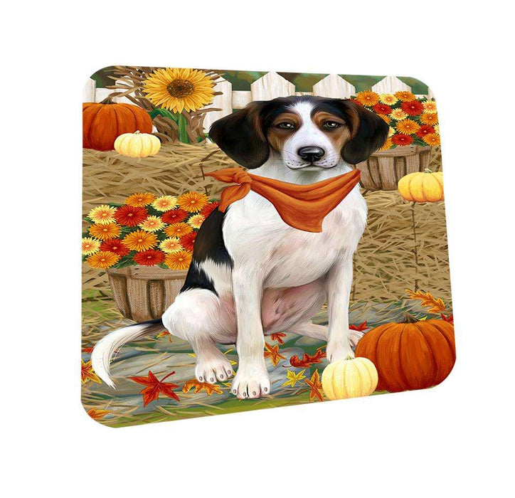 Fall Autumn Greeting Treeing Walker Coonhound Dog with Pumpkins Coasters Set of 4 CST50828