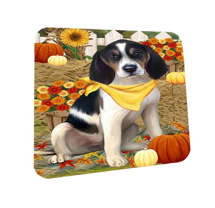 Fall Autumn Greeting Treeing Walker Coonhound Dog with Pumpkins Coasters Set of 4 CST50829