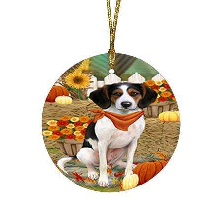 Fall Autumn Greeting Treeing Walker Coonhound Dog with Pumpkins Round Flat Christmas Ornament RFPOR50860