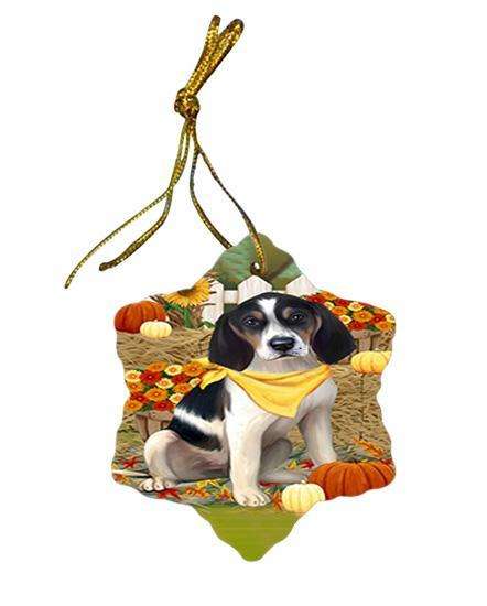 Fall Autumn Greeting Treeing Walker Coonhound Dog with Pumpkins Star Porcelain Ornament SPOR50862
