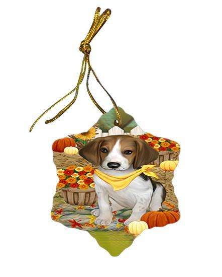 Fall Autumn Greeting Treeing Walker Coonhound Dog with Pumpkins Star Porcelain Ornament SPOR50863