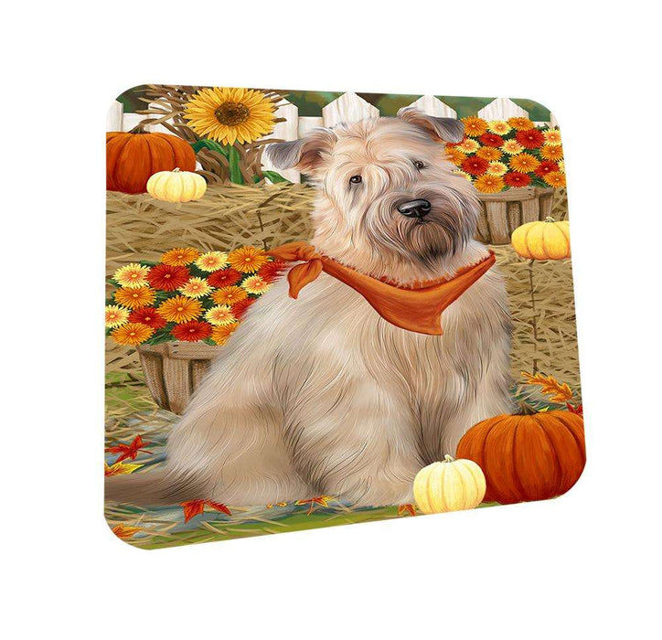 Fall Autumn Greeting Wheaten Terrier Dog with Pumpkins Coasters Set of 4 CST52312