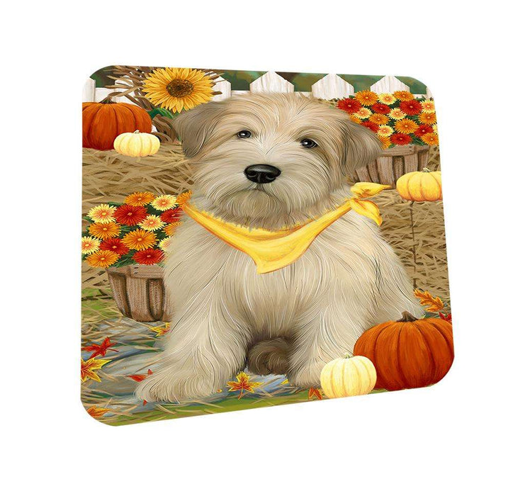 Fall Autumn Greeting Wheaten Terrier Dog with Pumpkins Coasters Set of 4 CST52313