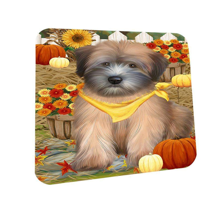 Fall Autumn Greeting Wheaten Terrier Dog with Pumpkins Coasters Set of 4 CST52314