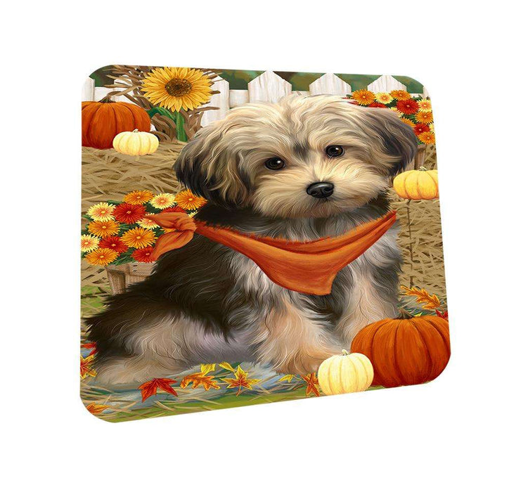 Fall Autumn Greeting Yorkipoo Dog with Pumpkins Coasters Set of 4 CST50837