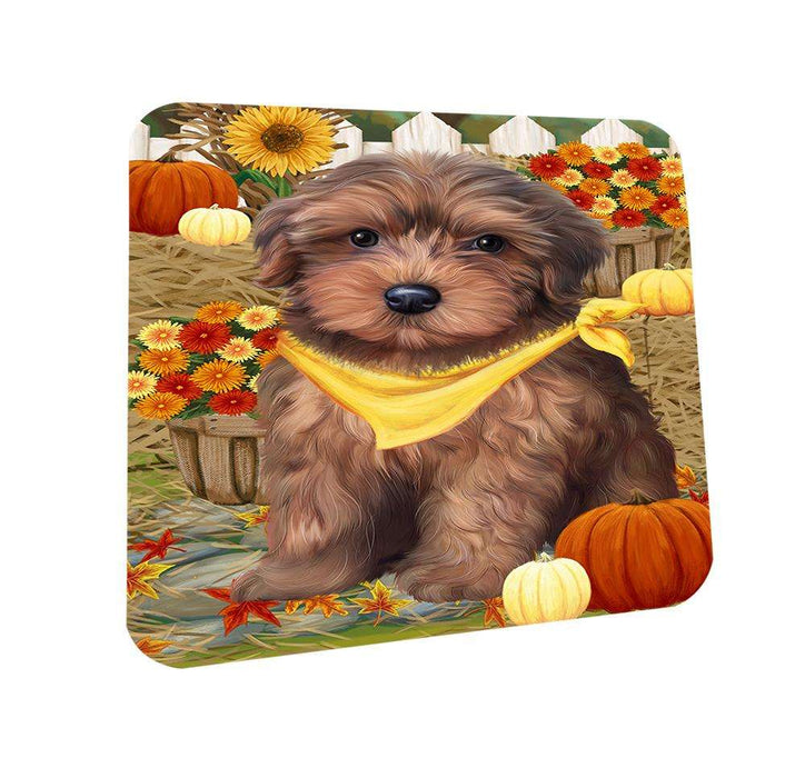 Fall Autumn Greeting Yorkipoo Dog with Pumpkins Coasters Set of 4 CST50838