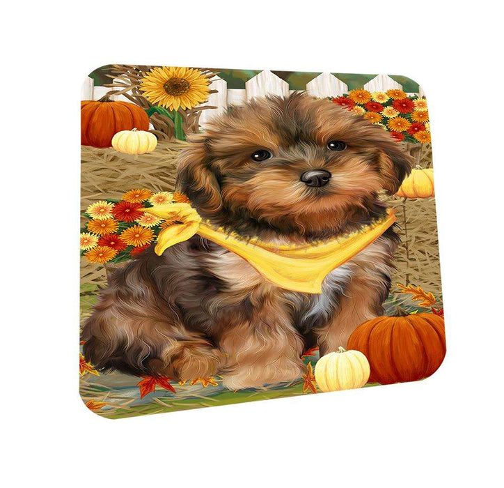 Fall Autumn Greeting Yorkipoo Dog with Pumpkins Coasters Set of 4 CST50840