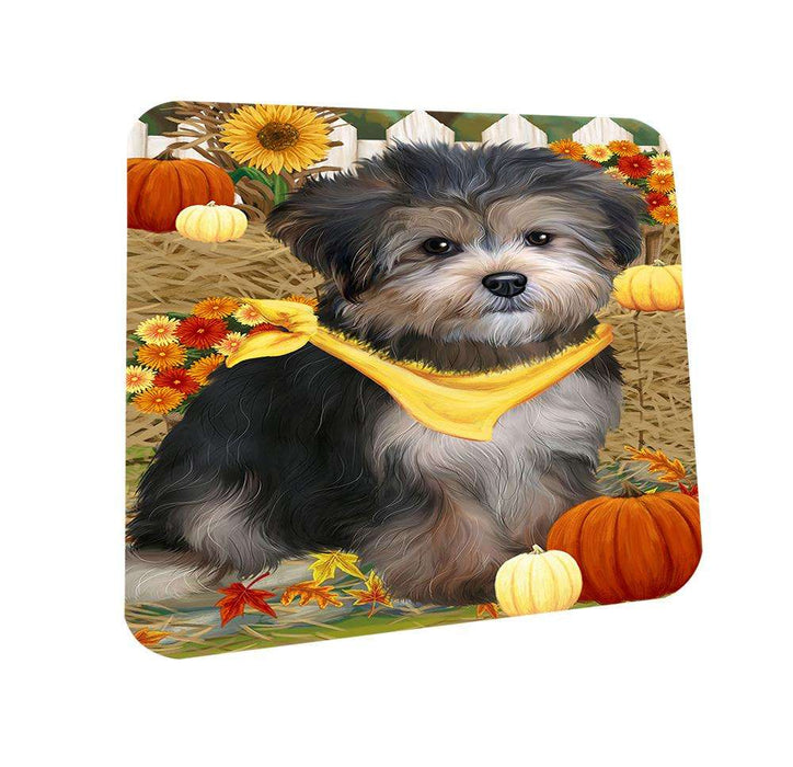 Fall Autumn Greeting Yorkipoo Dog with Pumpkins Coasters Set of 4 CST50841