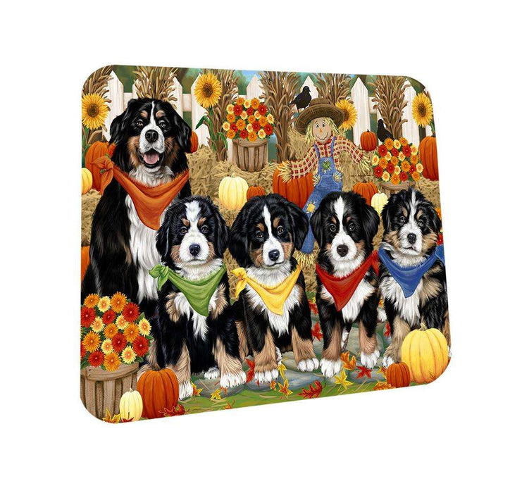 Fall Festive Gathering Bernese Mountain Dogs with Pumpkins Coasters Set of 4 CST50571
