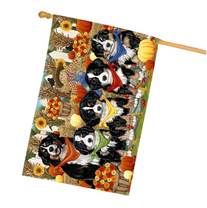 Fall Festive Gathering Bernese Mountain Dogs with Pumpkins House Flag FLG50641