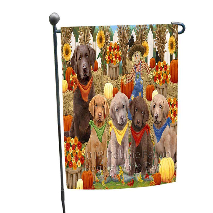 Fall Festive Gathering Chesapeake Bay Retrievers Dog with Pumpkins Garden Flag GFLG0517