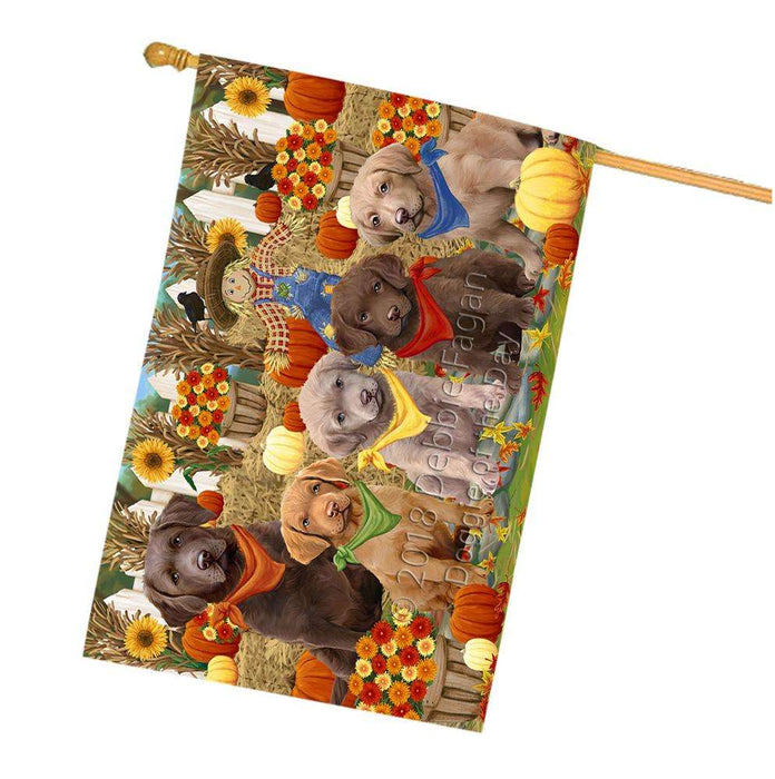 Fall Festive Gathering Chesapeake Bay Retrievers Dog with Pumpkins House Flag FLG50653