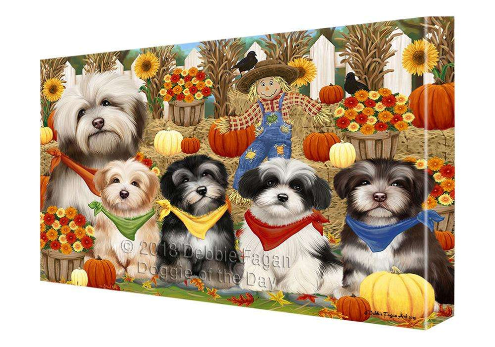 Fall Festive Gathering Havaneses Dog with Pumpkins Canvas Print Wall Art Décor CVS72044