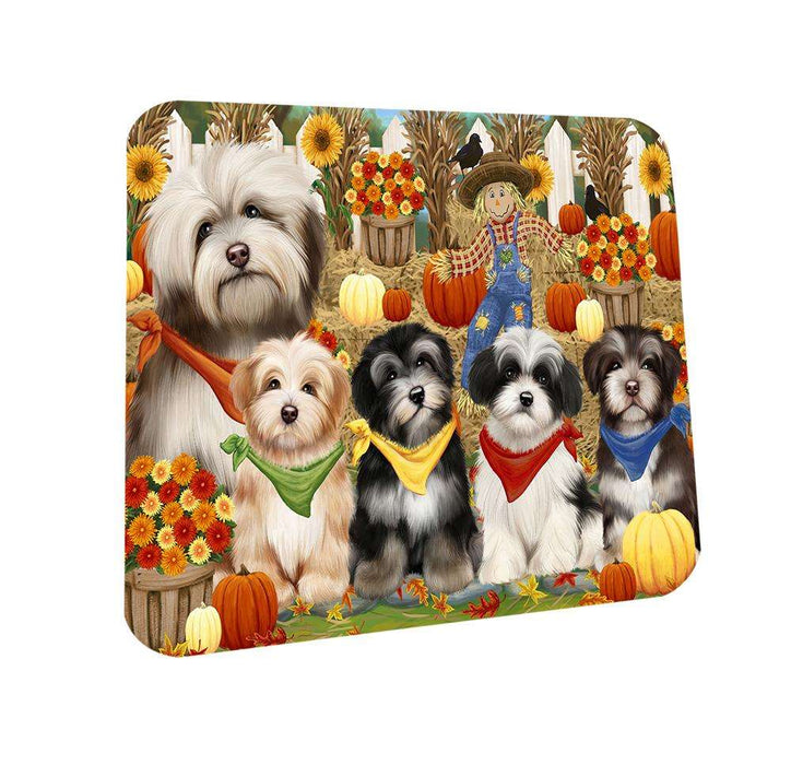 Fall Festive Gathering Havaneses Dog with Pumpkins Coasters Set of 4 CST50594