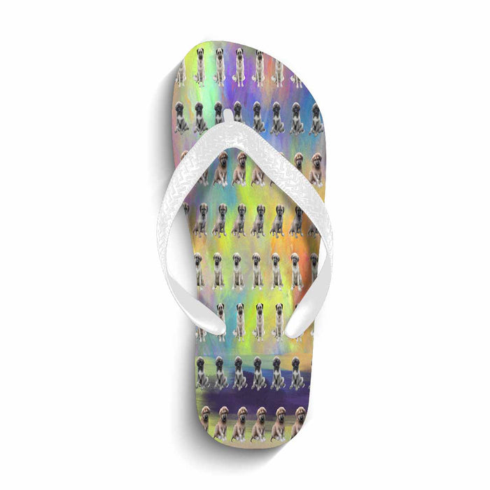 Flip Flops (For both Men and Women) (Model040)