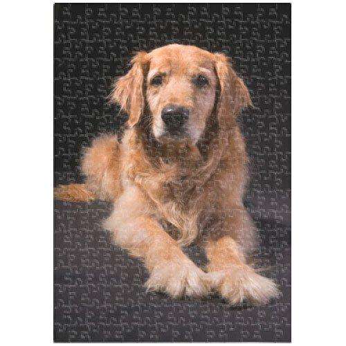 Golden Retriever Dog 300 Pc. Puzzle with Photo Tin