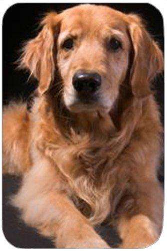 Golden Retriever Tempered Large Cutting Board